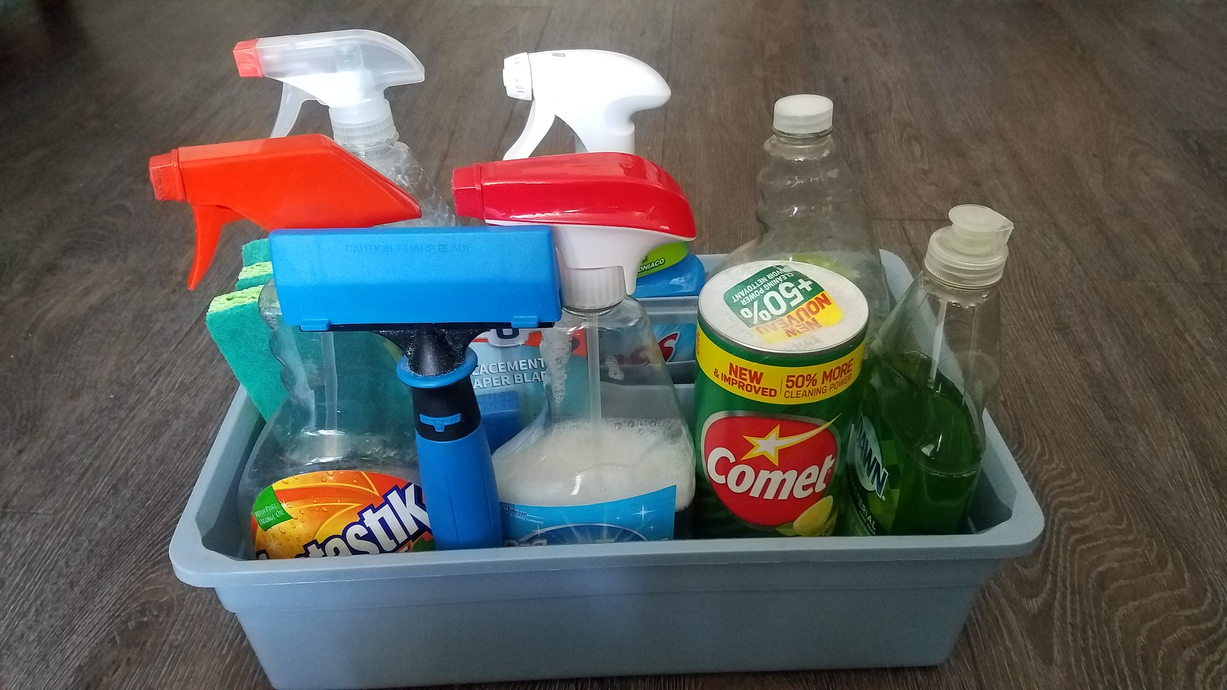 Sandra's Cleaning Logo